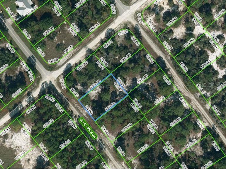 537 Blue Skies Drive Lake Placid FL 33852 OM623713 image1