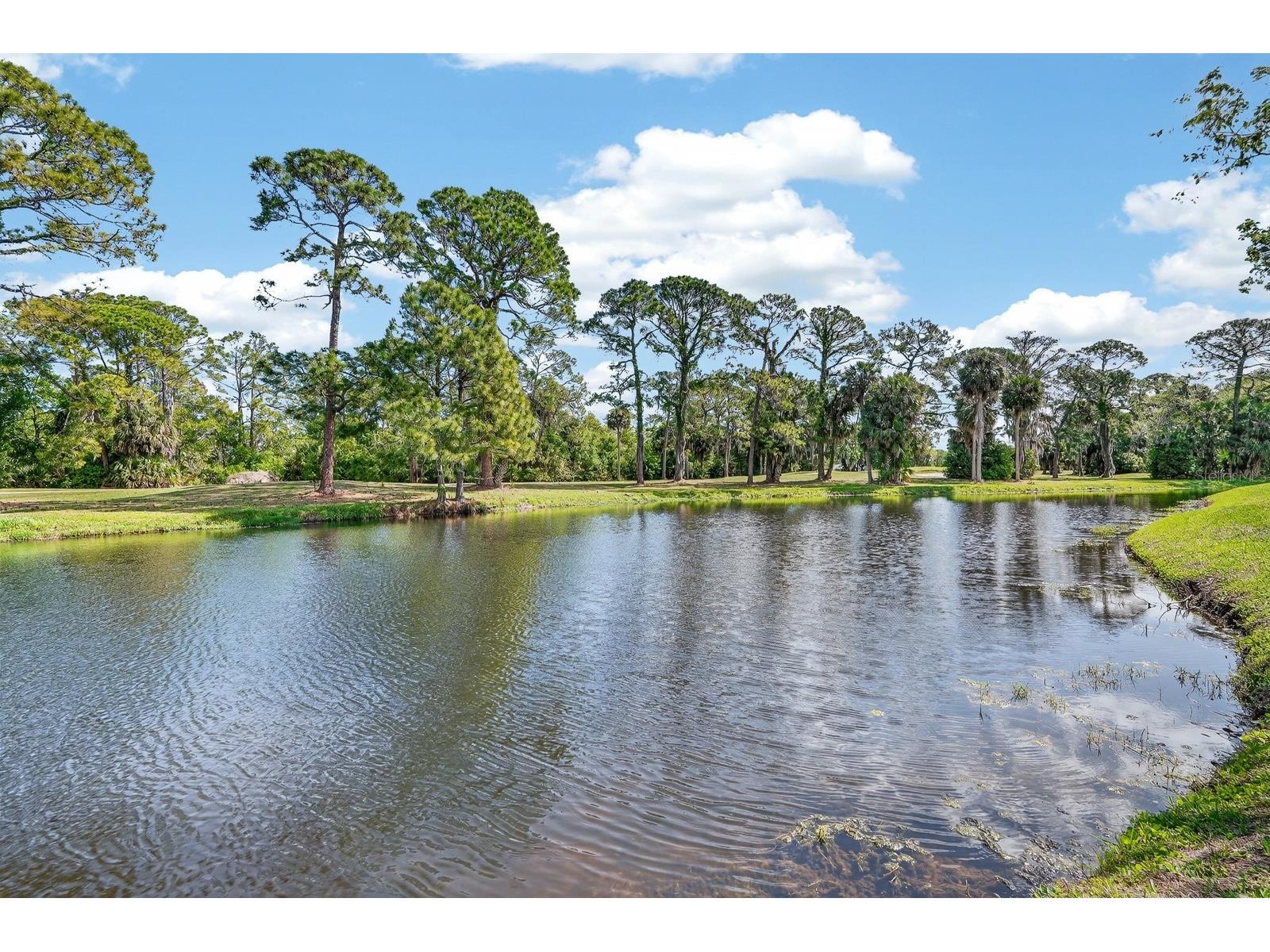 537 Brown Pelican Drive Daytona Beach FL 32119 V4948315 image52