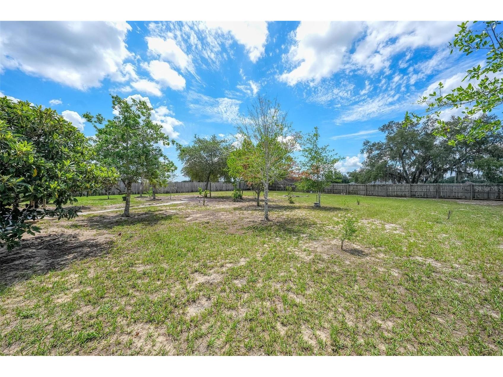 537 Hatchwood Drive Haines City FL 33844 O6416665 image14