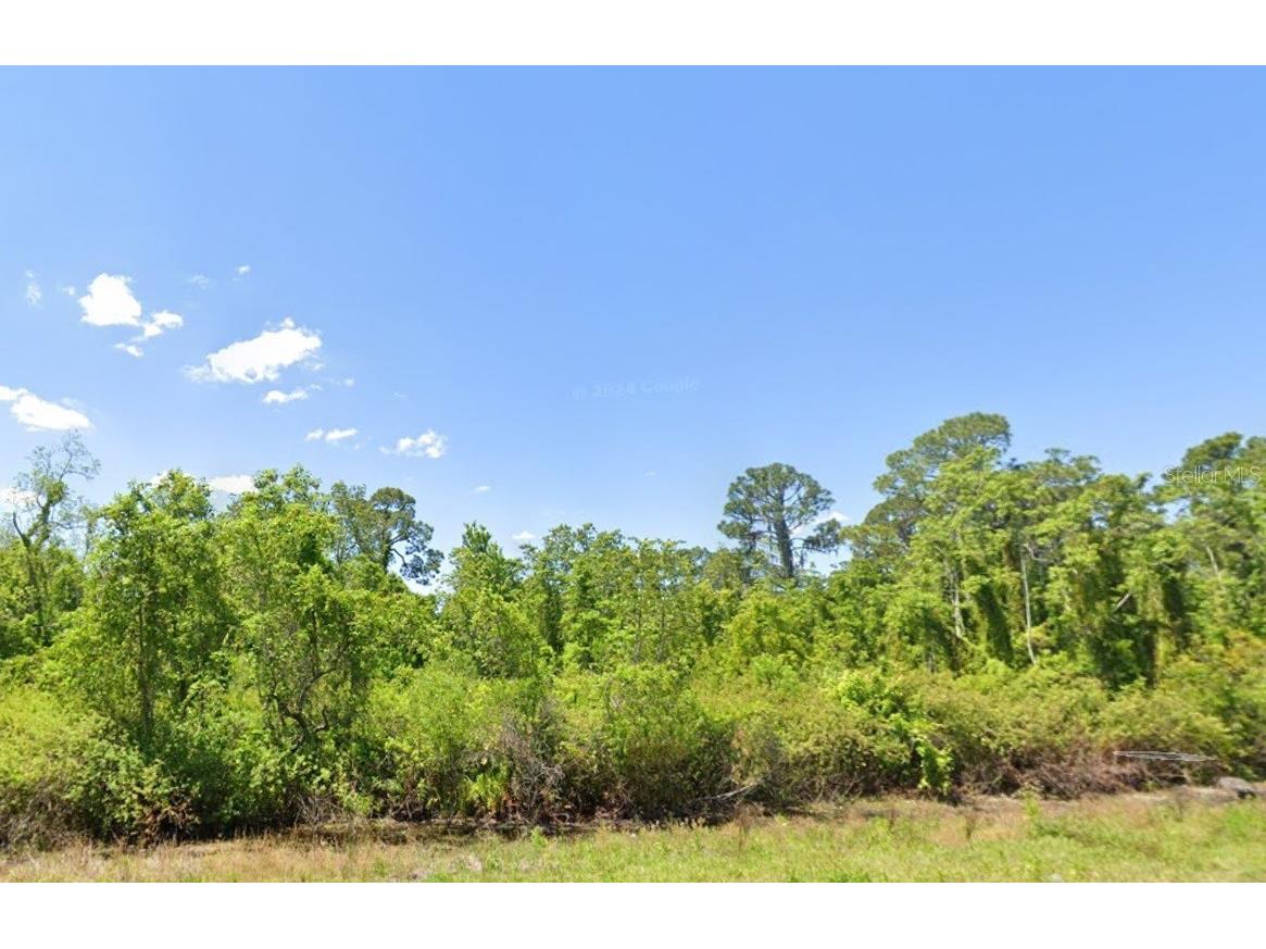 537 Pershing Avenue Lake Placid FL 33852 O6212580 image1