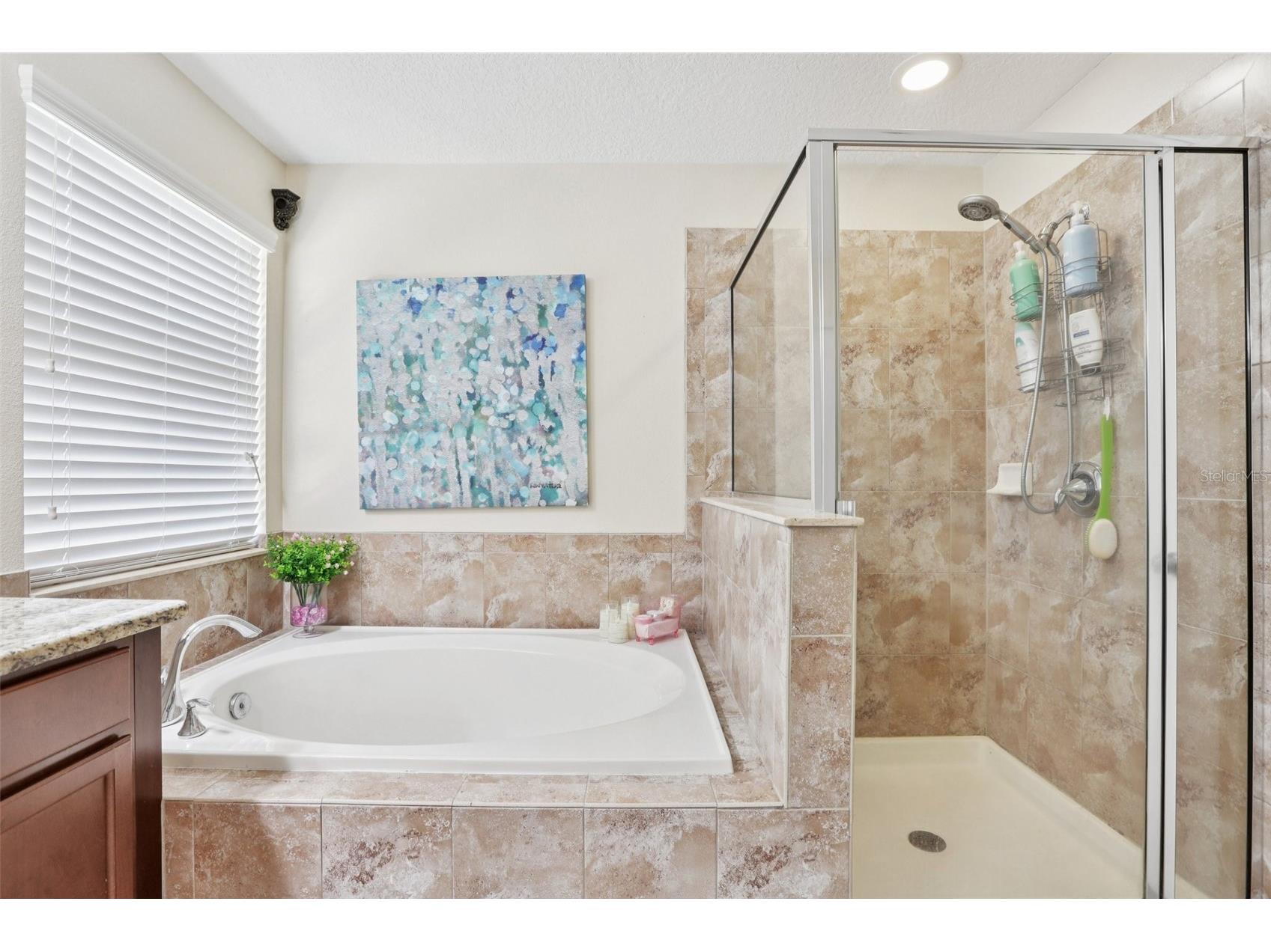 537 Vista Ridge Drive Ruskin FL 33570 TB8489847 image49