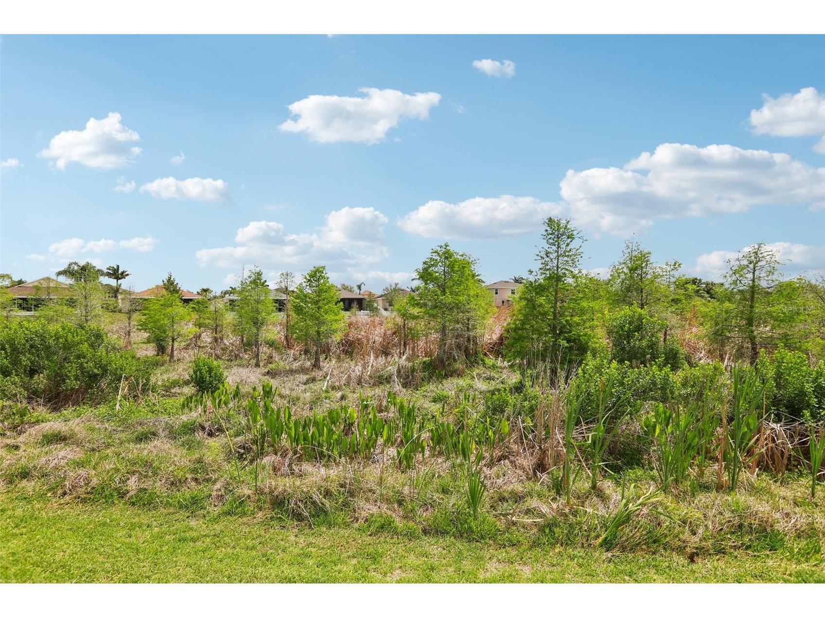 537 Vista Ridge Drive Ruskin FL 33570 TB8489847 image74