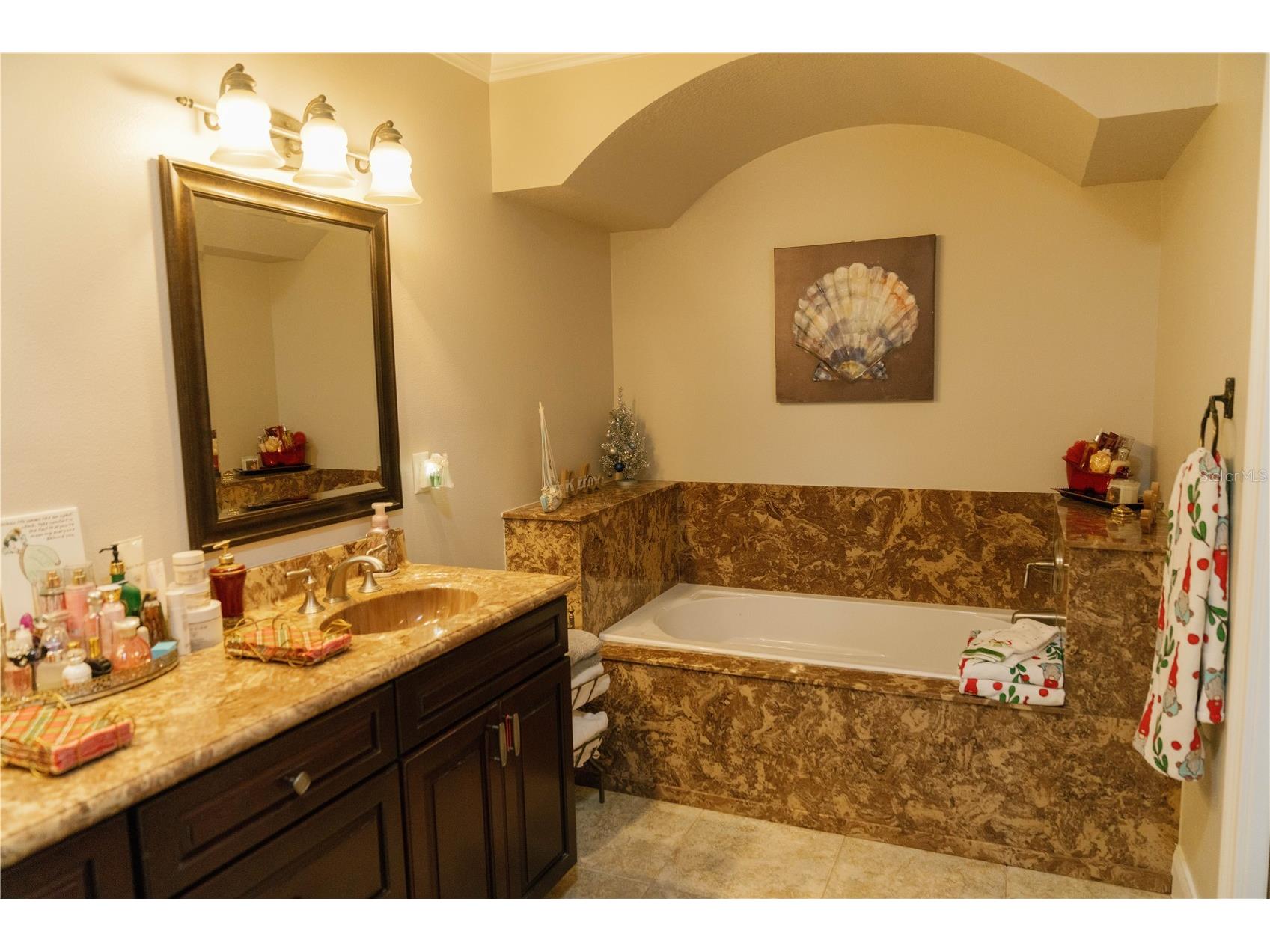 537 Woodlawn Cemetery Road Gotha FL 34734 - LAKE ROSE O6368398 image32