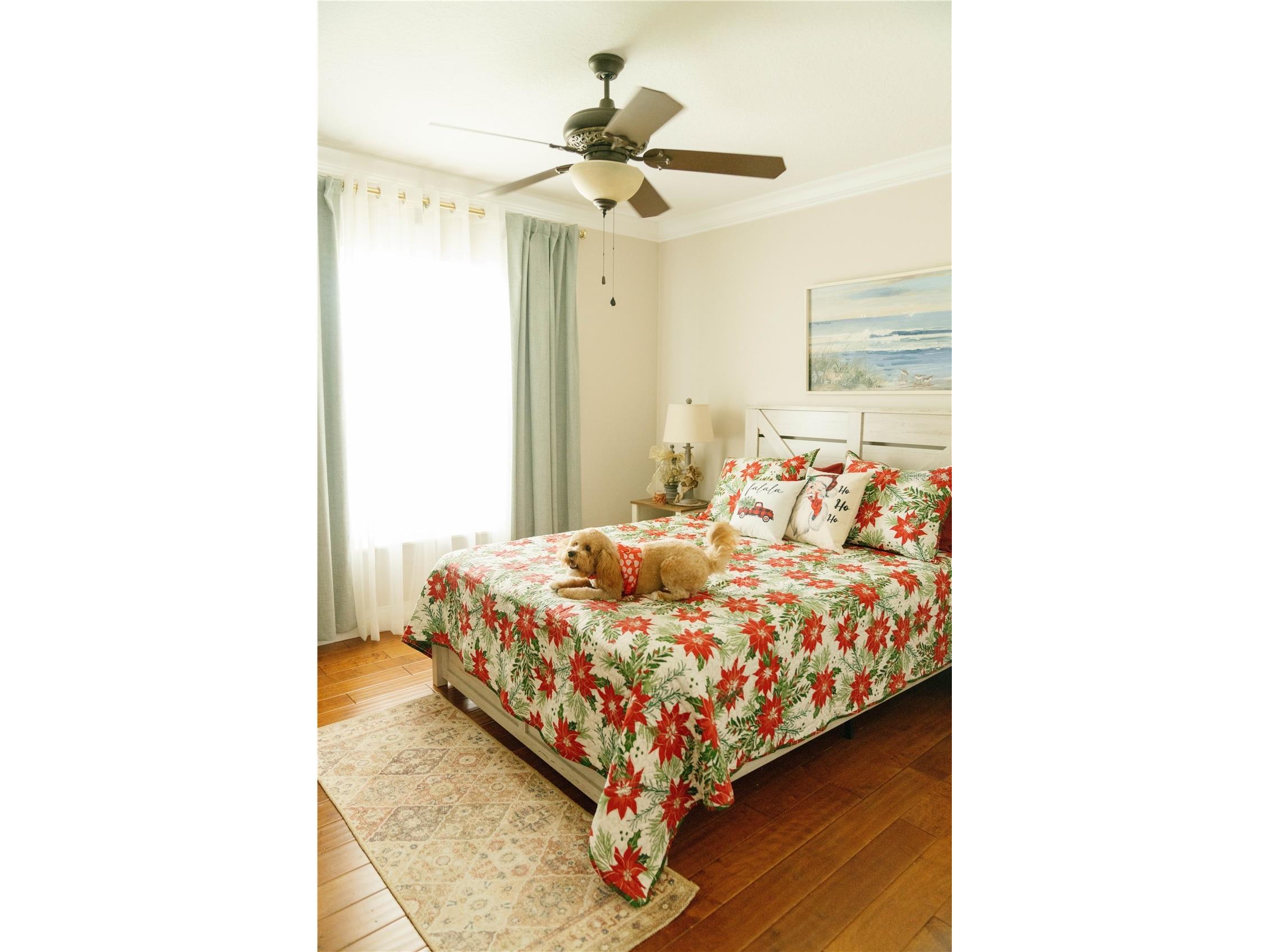 537 Woodlawn Cemetery Road Gotha FL 34734 - LAKE ROSE O6368398 image33