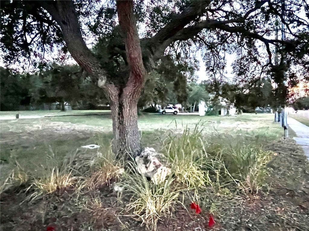 5370 71st Street N Saint Petersburg FL 33709 U8216582 image24