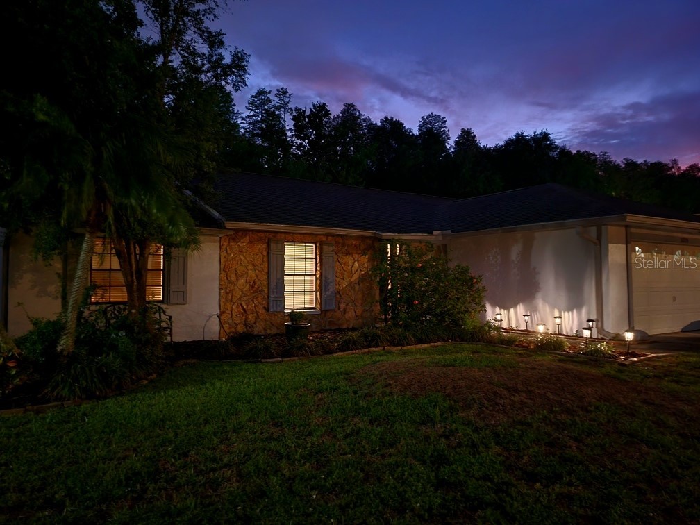 5370 Black Pine Drive Tampa FL 33624 T3449971 image1