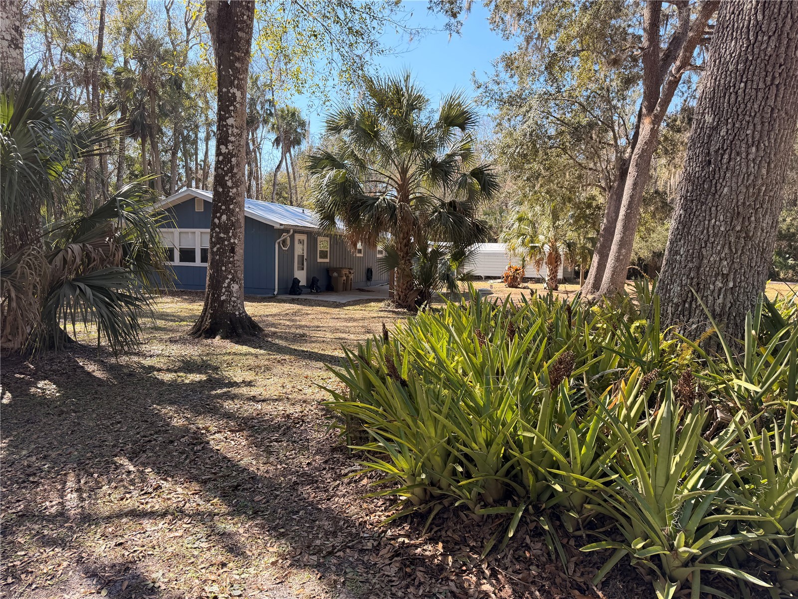53706 Rivertrace Road Astor FL 32102 R4910655 image30