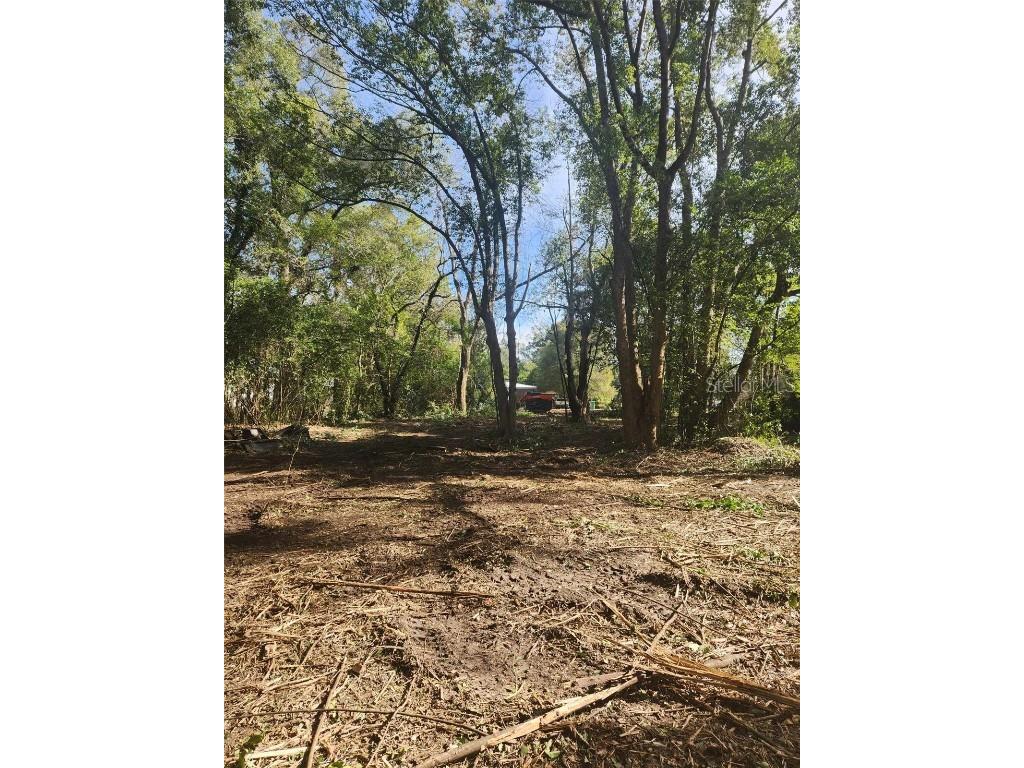 5371 Florida Street Graceville FL 32440 OM670035 image1