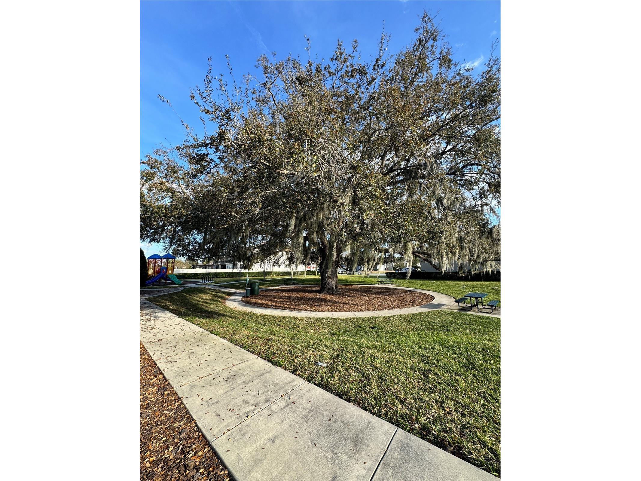 5371 Jubiloso Drive Saint Cloud FL 34771 S5144368 image28