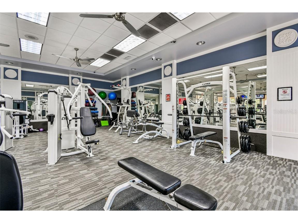 5373 Eliseo Street Sarasota FL 34238 TB8424622 image58