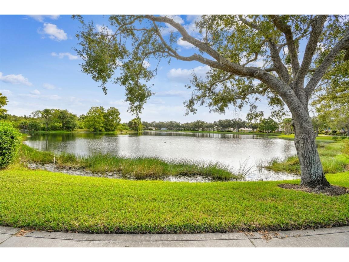 5373 Eliseo Street Sarasota FL 34238 TB8424622 image61