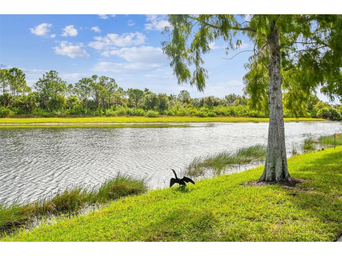 5373 Eliseo Street Sarasota FL 34238 TB8424622 image62