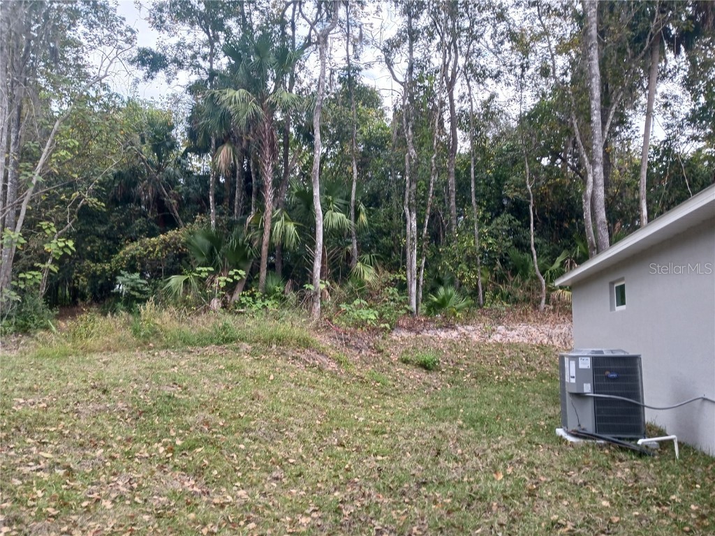 5373 Park Avenue De Leon Springs FL 32130 V4946140 image3