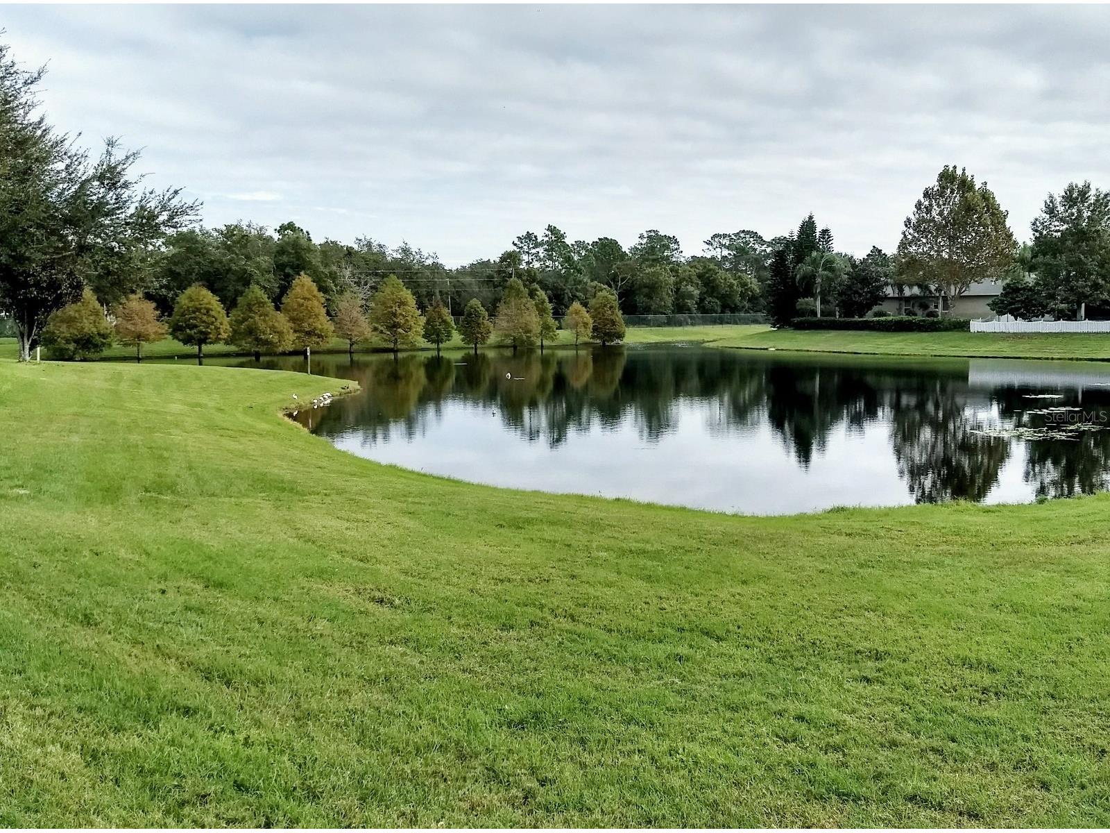 5373 Red Leaf Court Oviedo FL 32765 O6393628 image3