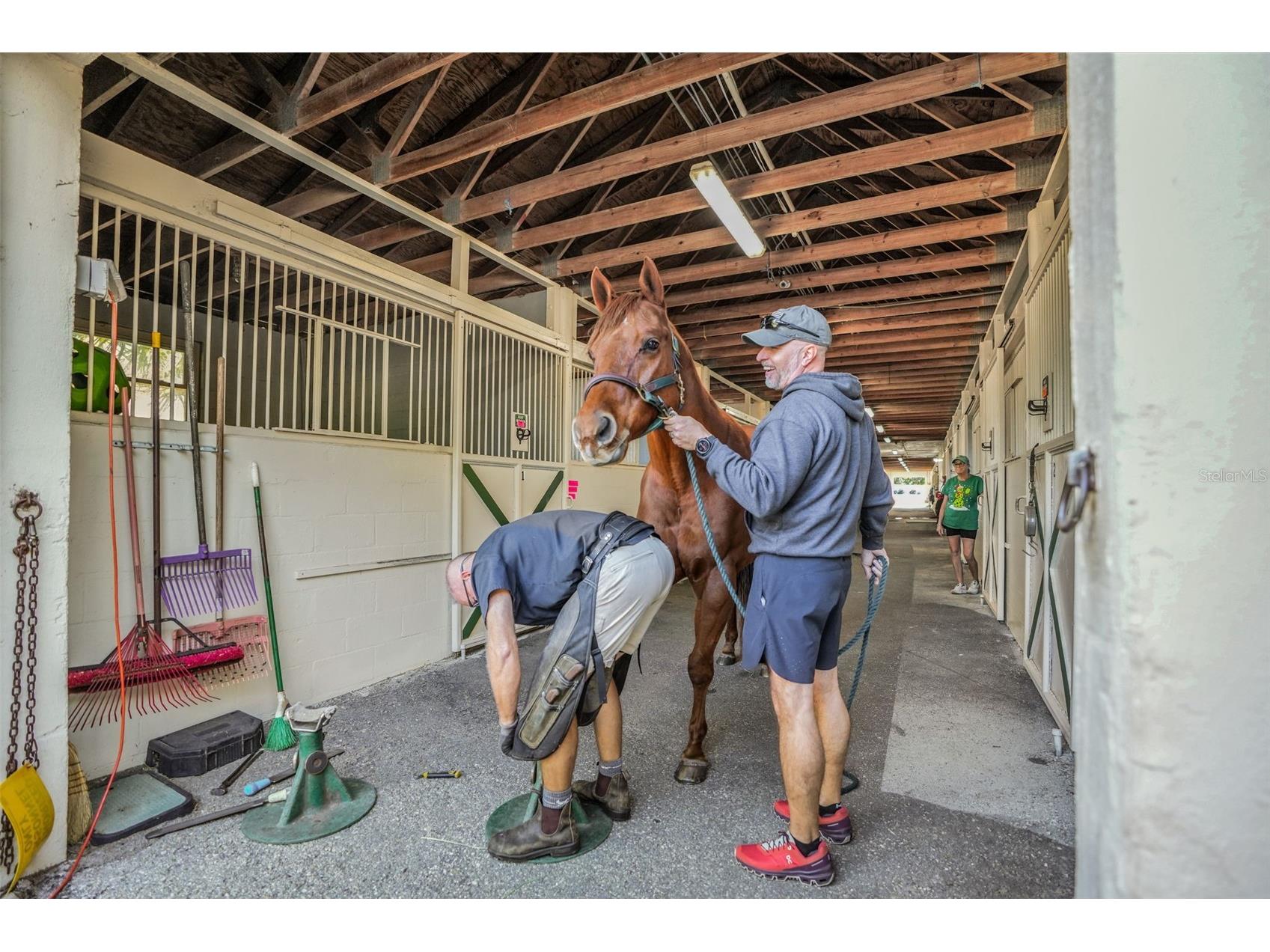 5374 N Sonora Terrace Beverly Hills FL 34465 TB8458205 image47