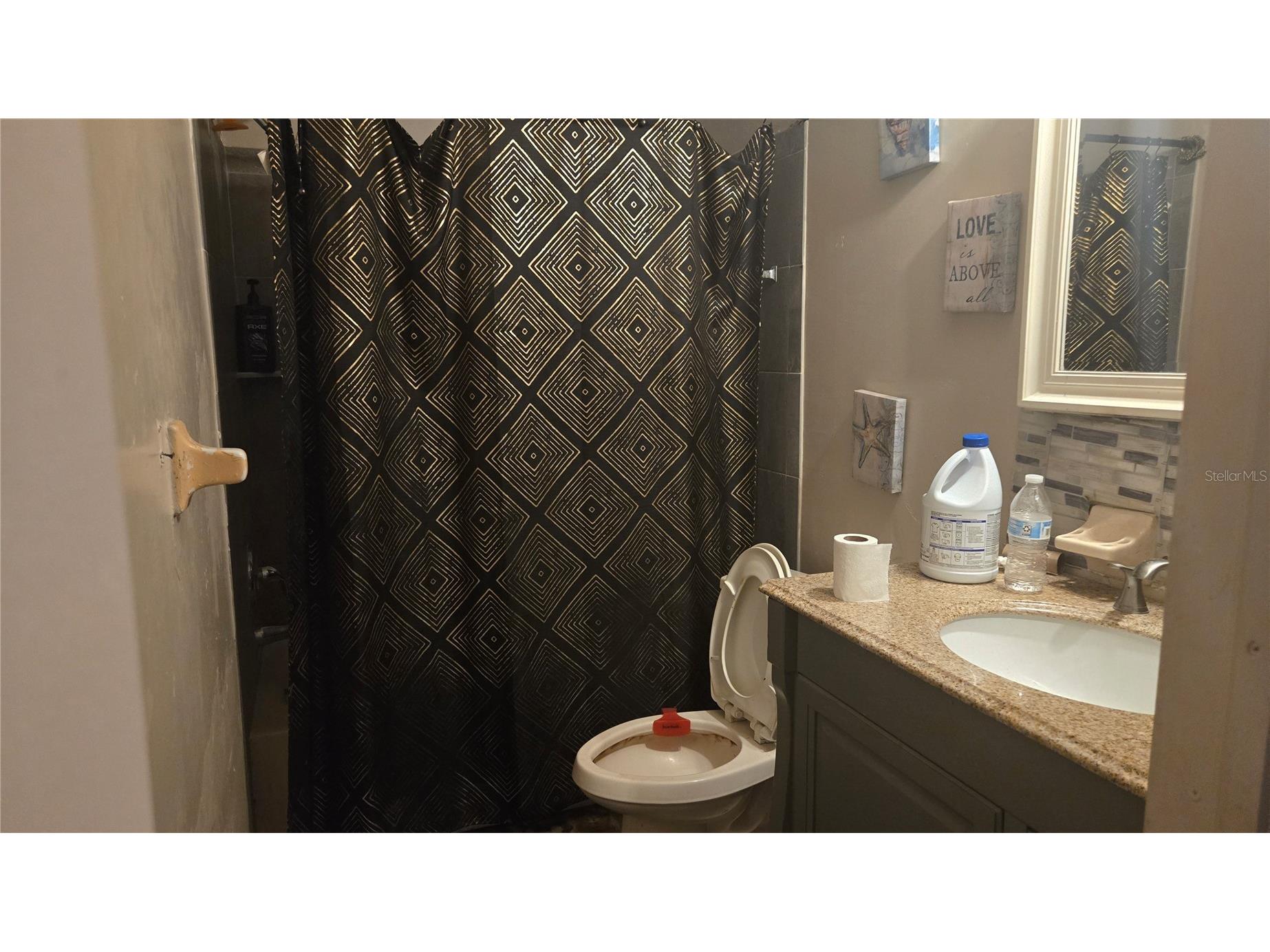 5375 Carolona Way S Saint Petersburg FL 33712 TB8528515 image11