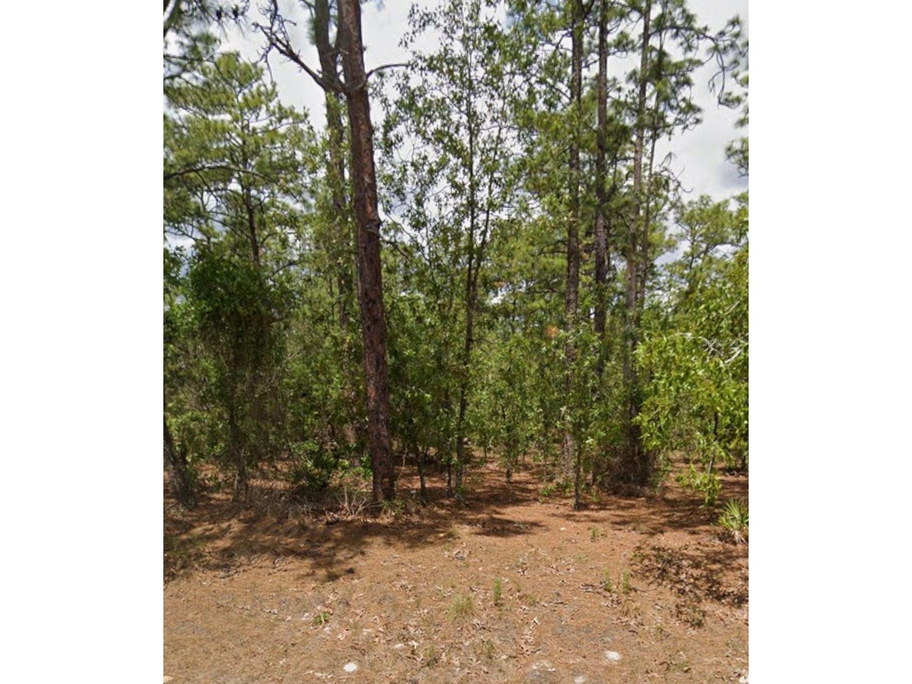 5375 W Comstock Place Beverly Hills FL 34465 TB8478219 image1