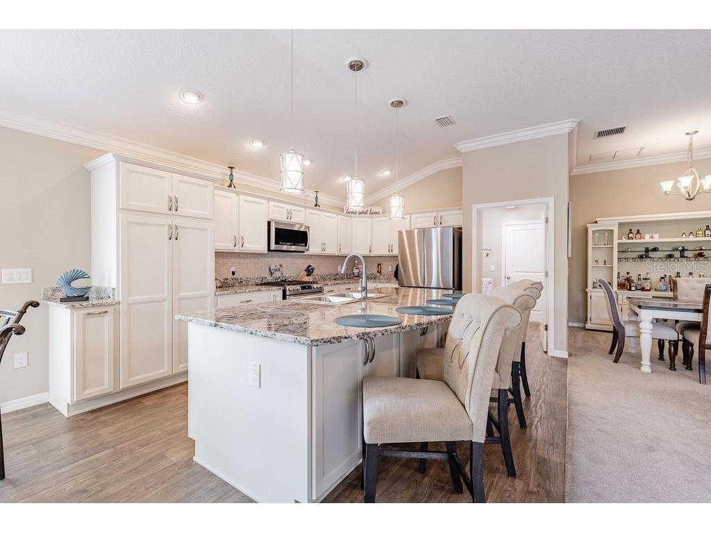 5375 Werdebaugh Way The Villages FL 32163 G5110134 image25