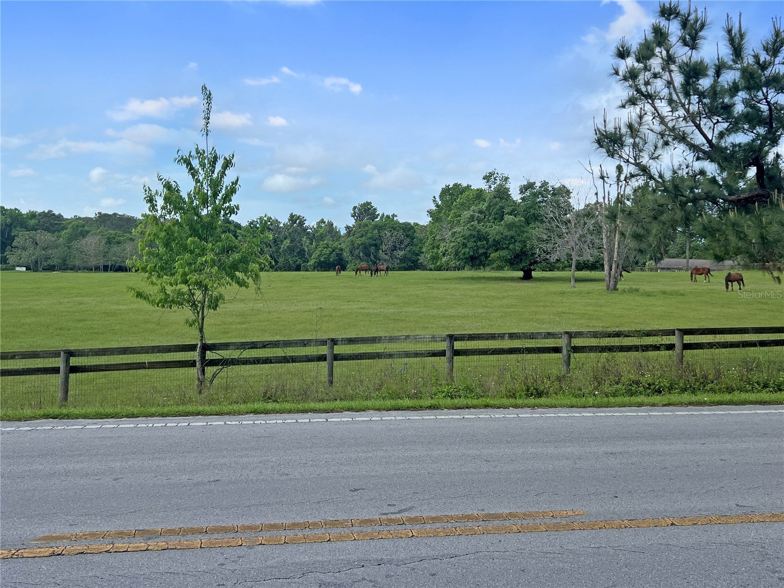 5378 W Highway 329 Reddick FL 32686 OM718585 image4