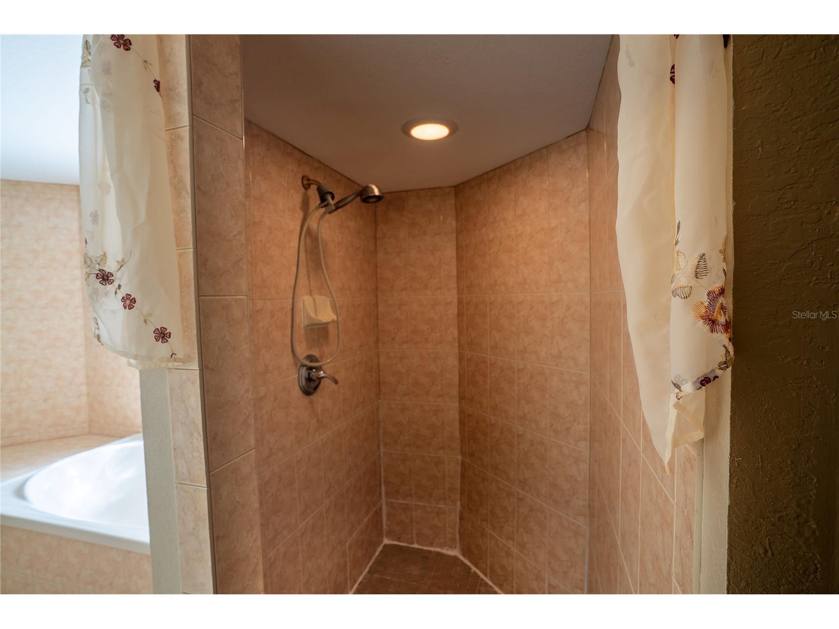 538 Bahia Circle Drive Ocala FL 34472 OM712501 image47