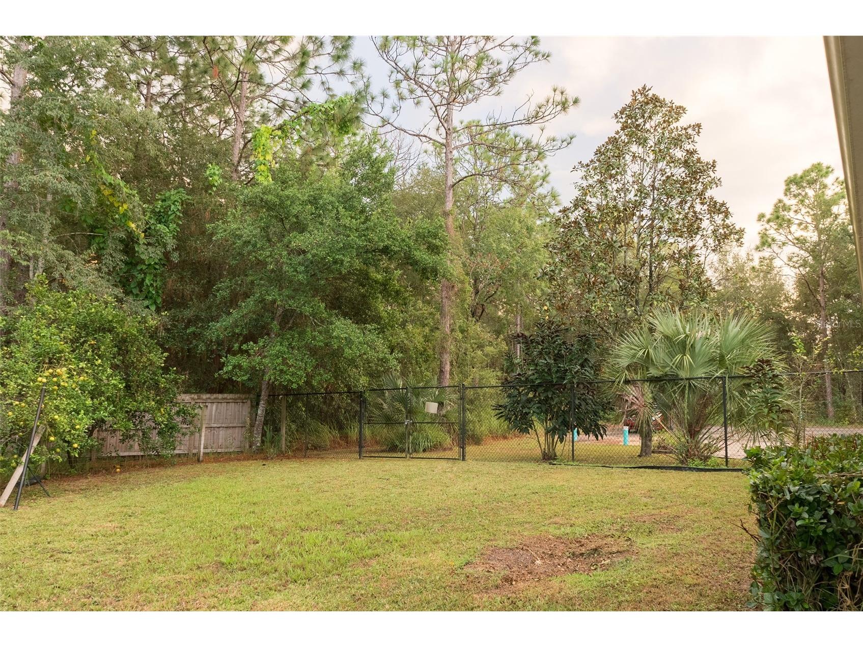 538 Bahia Circle Drive Ocala FL 34472 OM712501 image51