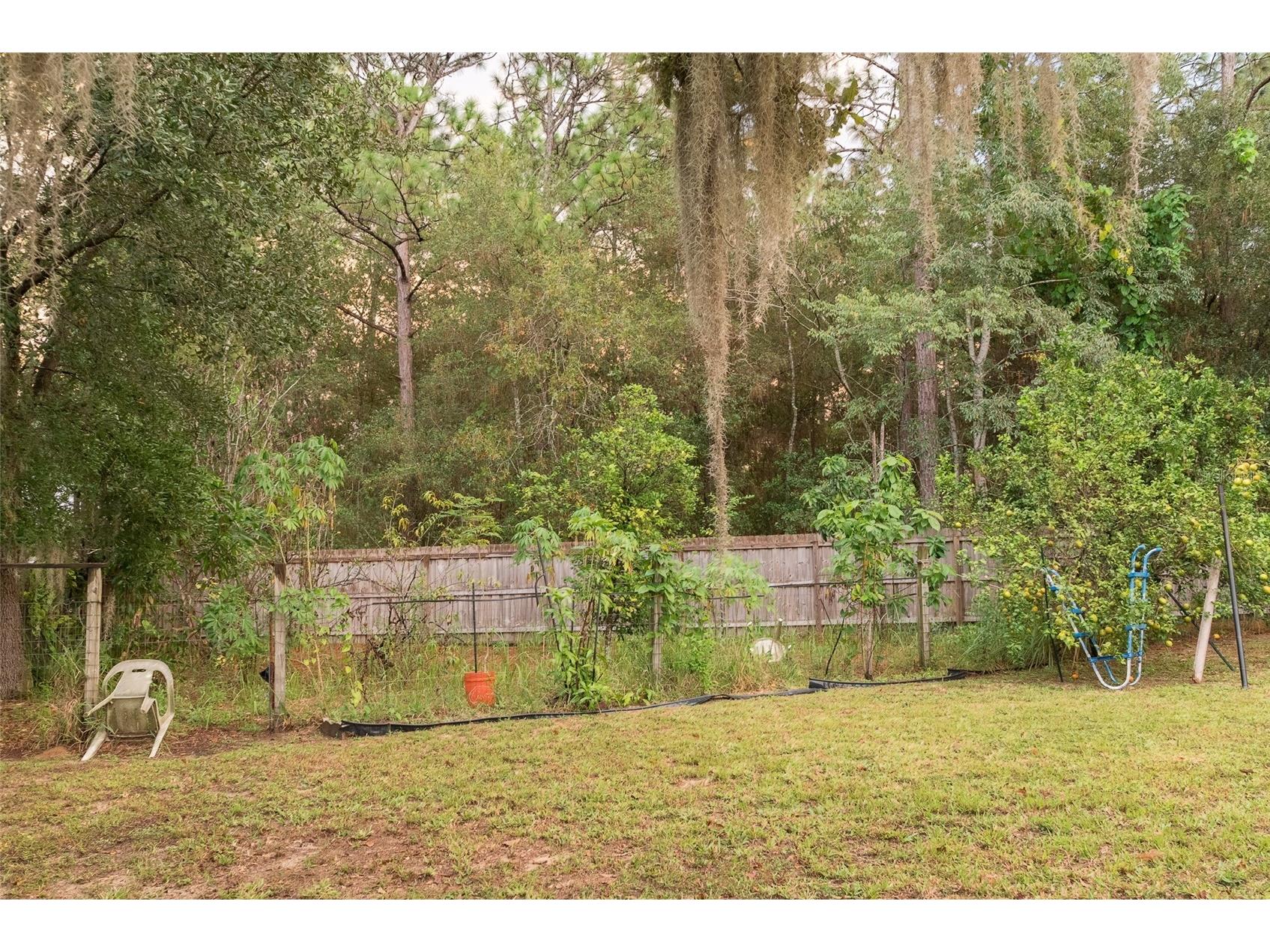 538 Bahia Circle Drive Ocala FL 34472 OM712501 image52