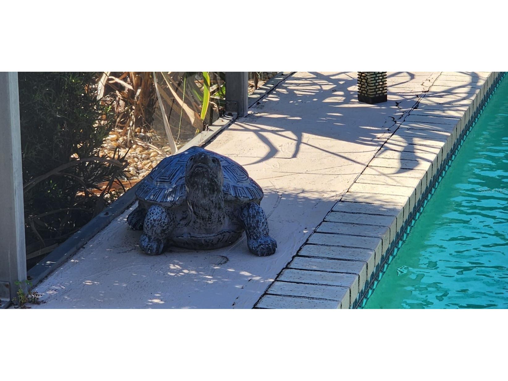 538 Grenada Street Port Charlotte FL 33948 C7514319 image40