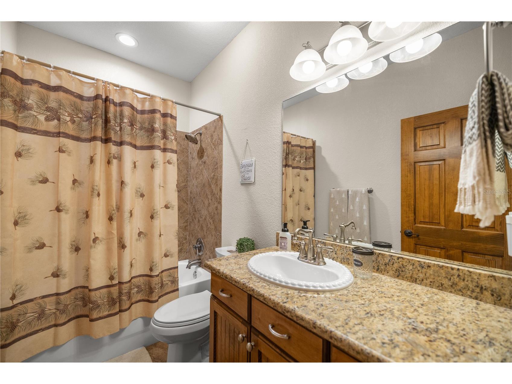 538 NW 7th Street Williston FL 32696 OM724579 image25