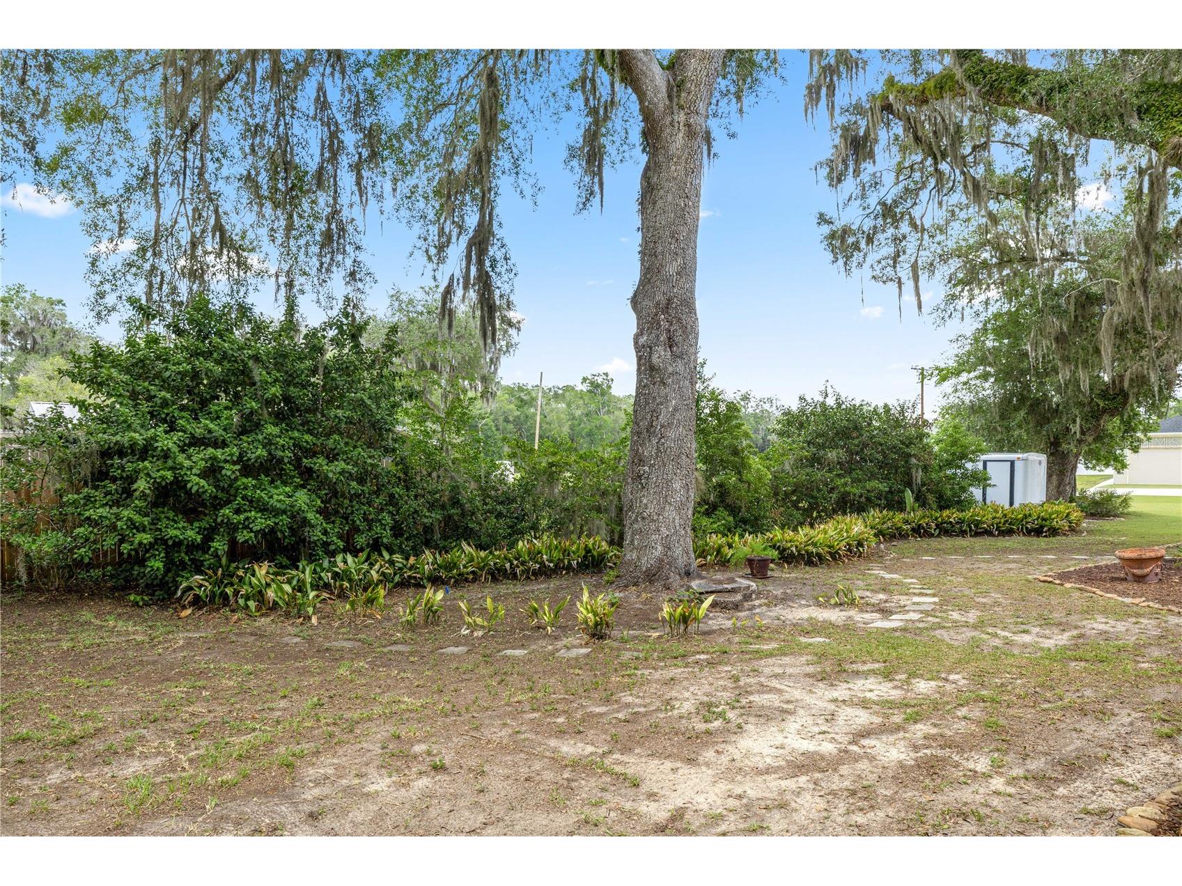 538 NW 7th Street Williston FL 32696 OM724579 image44