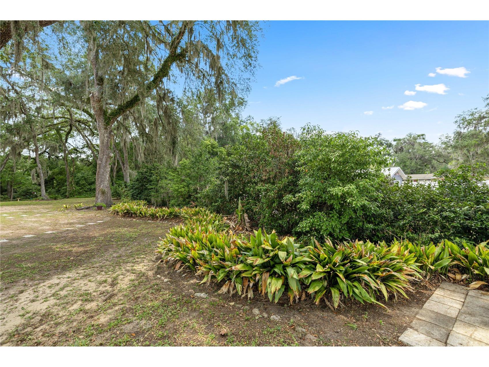 538 NW 7th Street Williston FL 32696 OM724579 image47