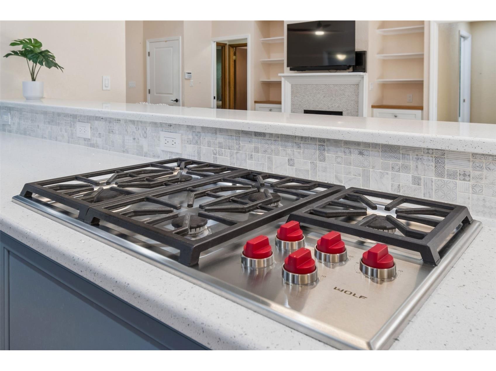 538 Oleander Way S Saint Petersburg FL 33707 TB8516725 image23