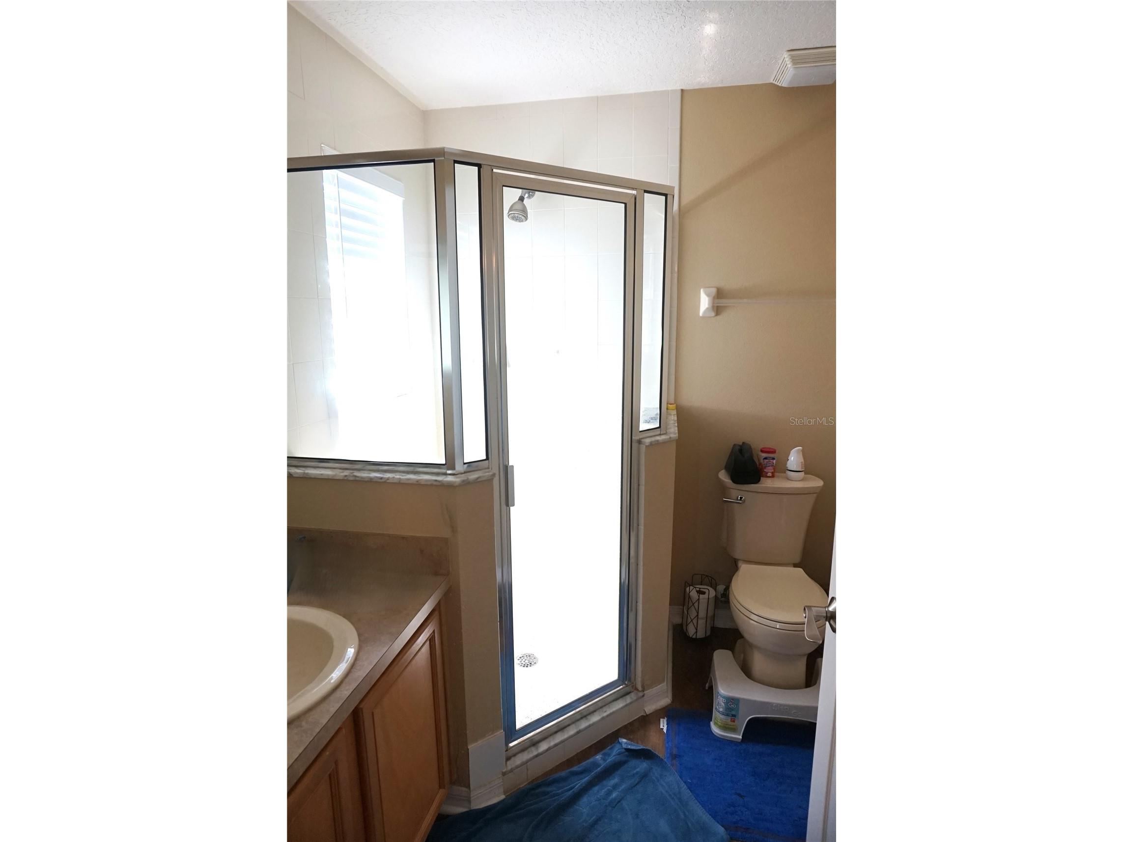 538 Pineloch Drive Haines City FL 33844 - TOWER LAKE S5146917 image10