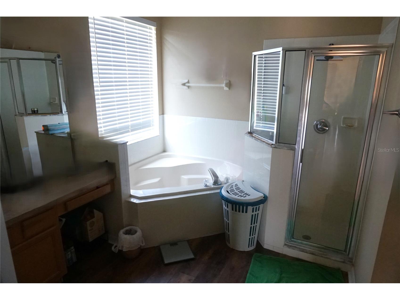 538 Pineloch Drive Haines City FL 33844 - TOWER LAKE S5146917 image6