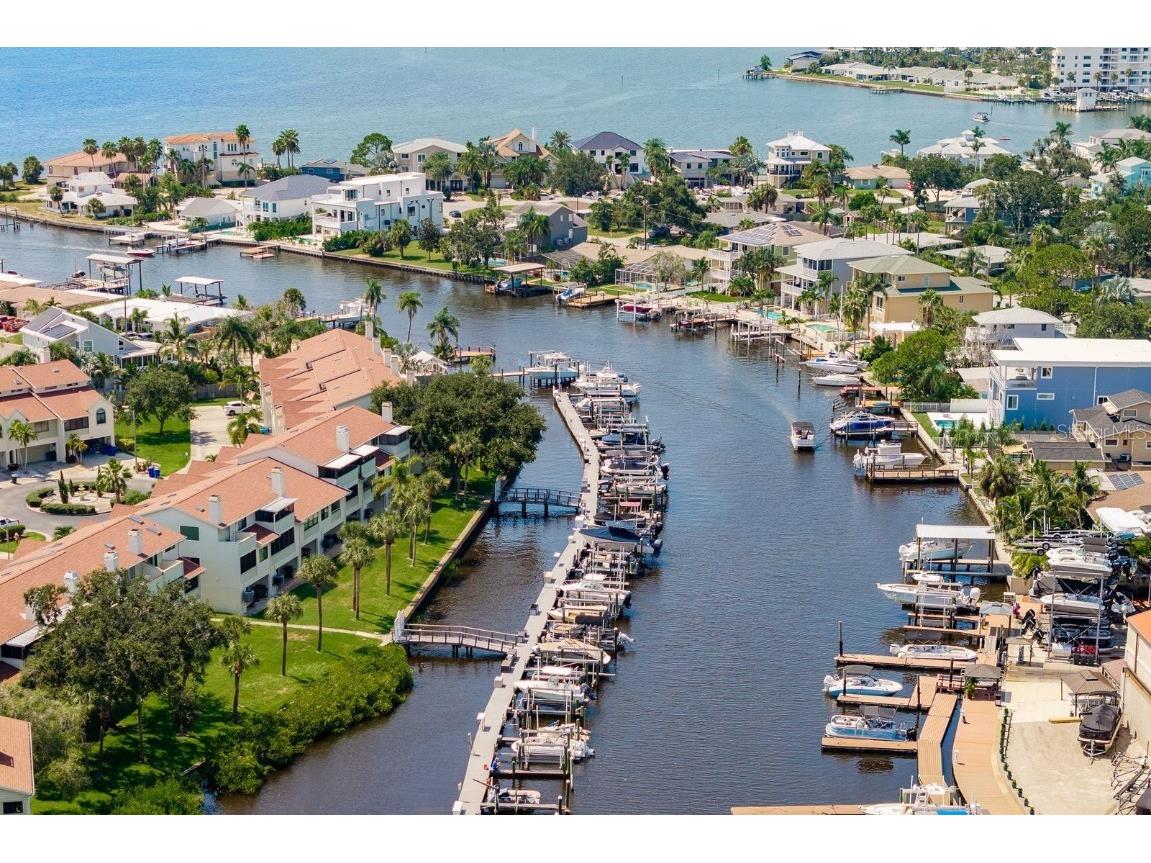 538 Walden Court Dunedin FL 34698 TB8422246 image49