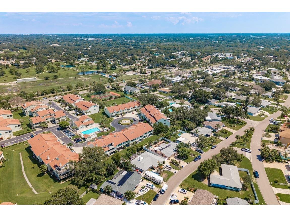 538 Walden Court Dunedin FL 34698 TB8422246 image52