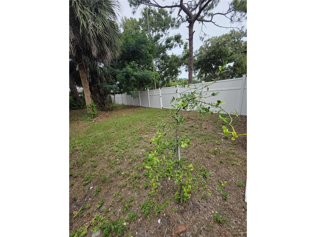 5380 77th Avenue N Pinellas Park FL 33781 TB8435560 image41