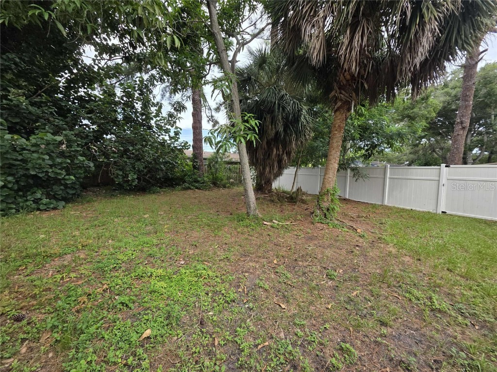 5380 77th Avenue N Pinellas Park FL 33781 TB8435560 image42
