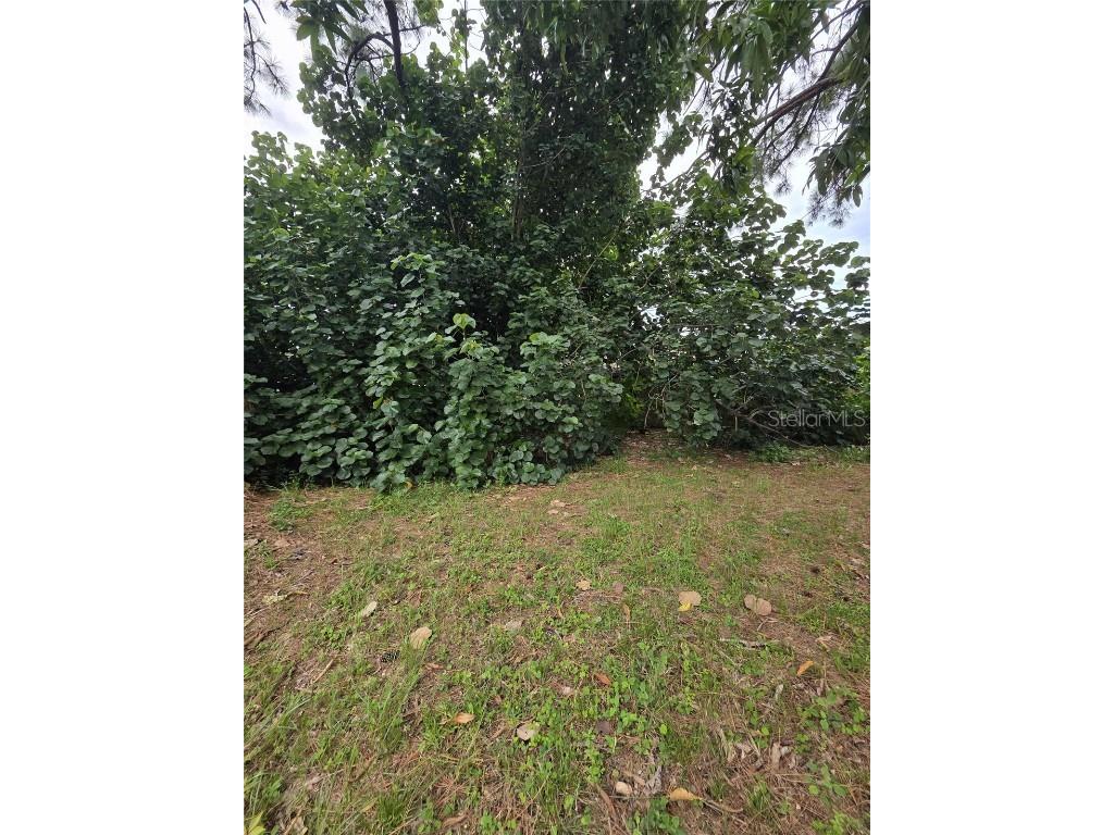 5380 77th Avenue N Pinellas Park FL 33781 TB8435560 image45