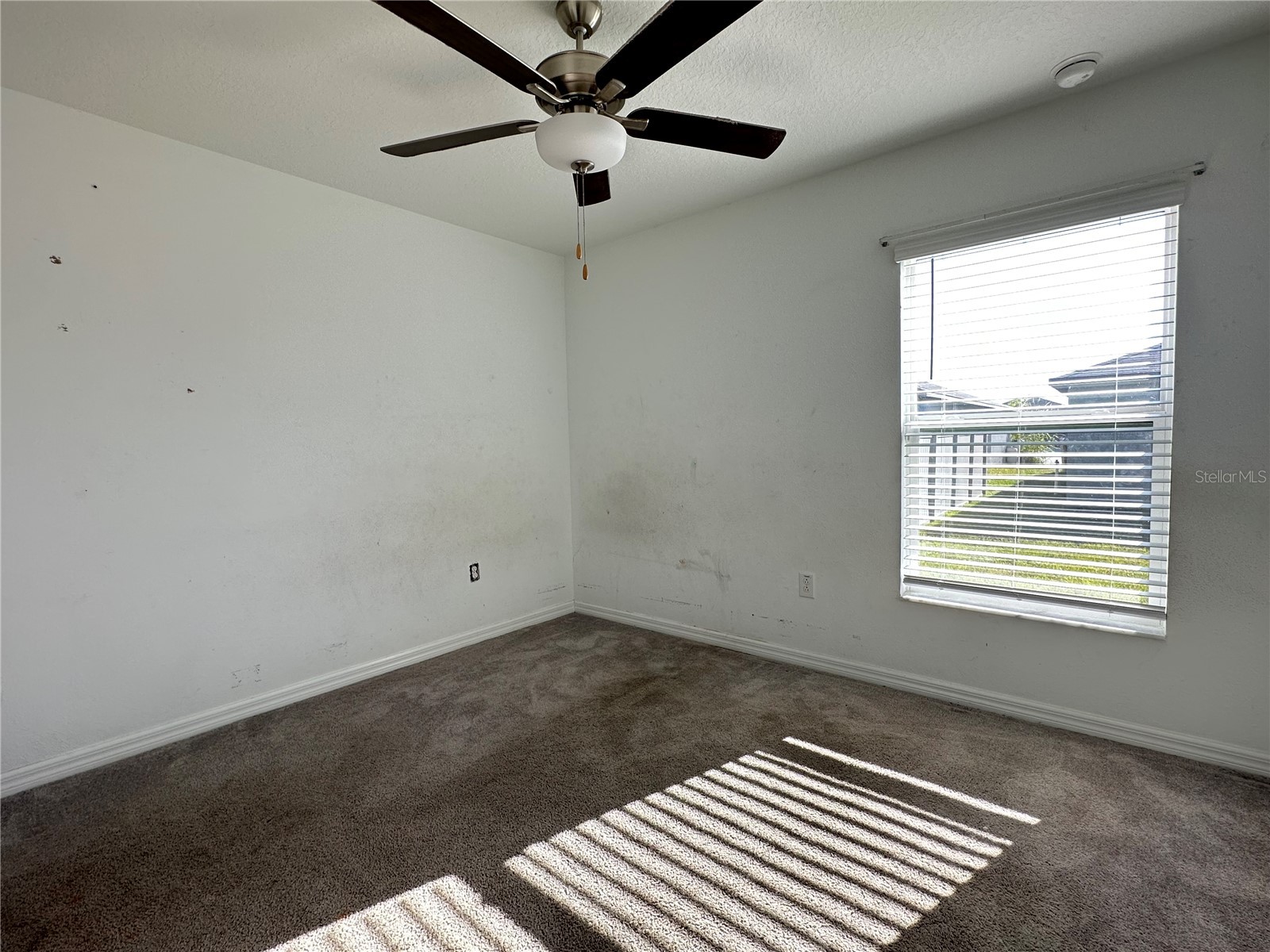 5380 Blue Horizon Way Wimauma FL 33598 TB8467331 image15