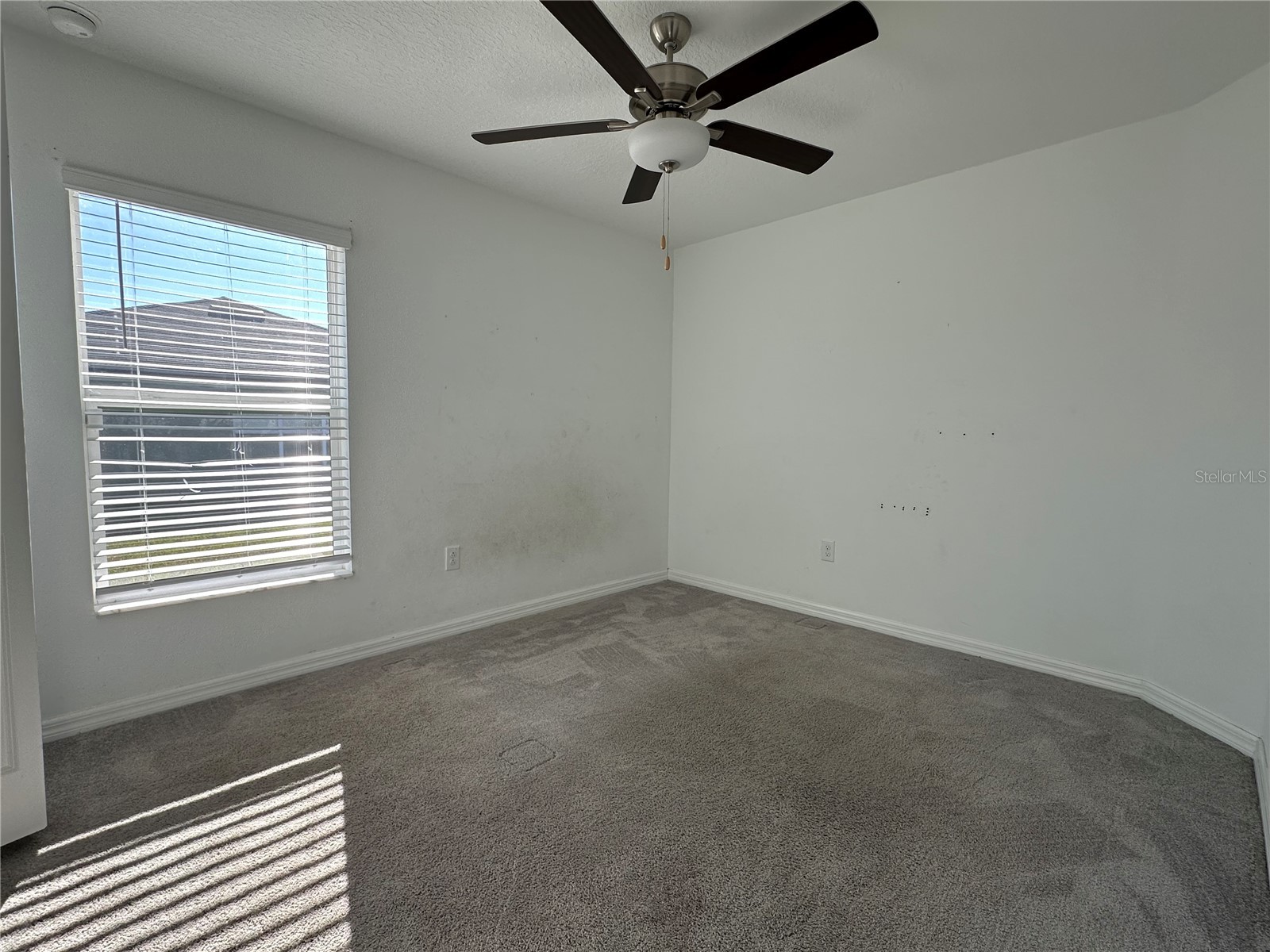 5380 Blue Horizon Way Wimauma FL 33598 TB8467331 image18