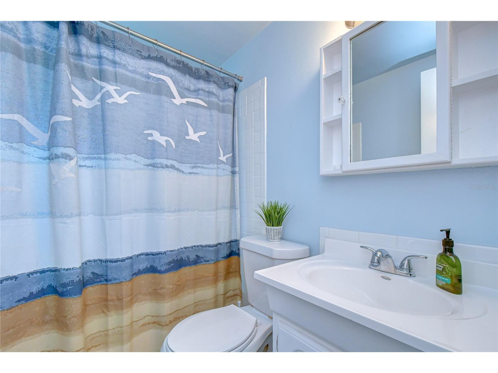 5381 43rd Avenue N Saint Petersburg FL 33709 TB8531855 image23