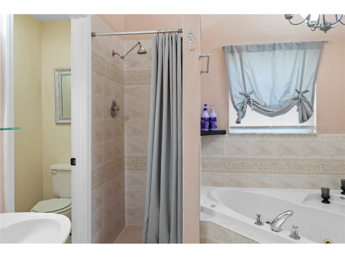 5381 Alligator Lake Road Saint Cloud FL 34772 S5134868 image24