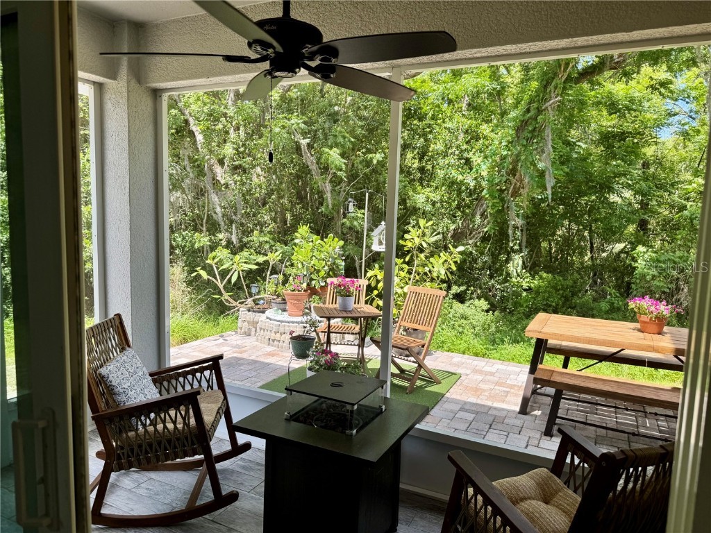 5382 Riverwalk Preserve Drive New Port Richey FL 34653 TB8453105 image27