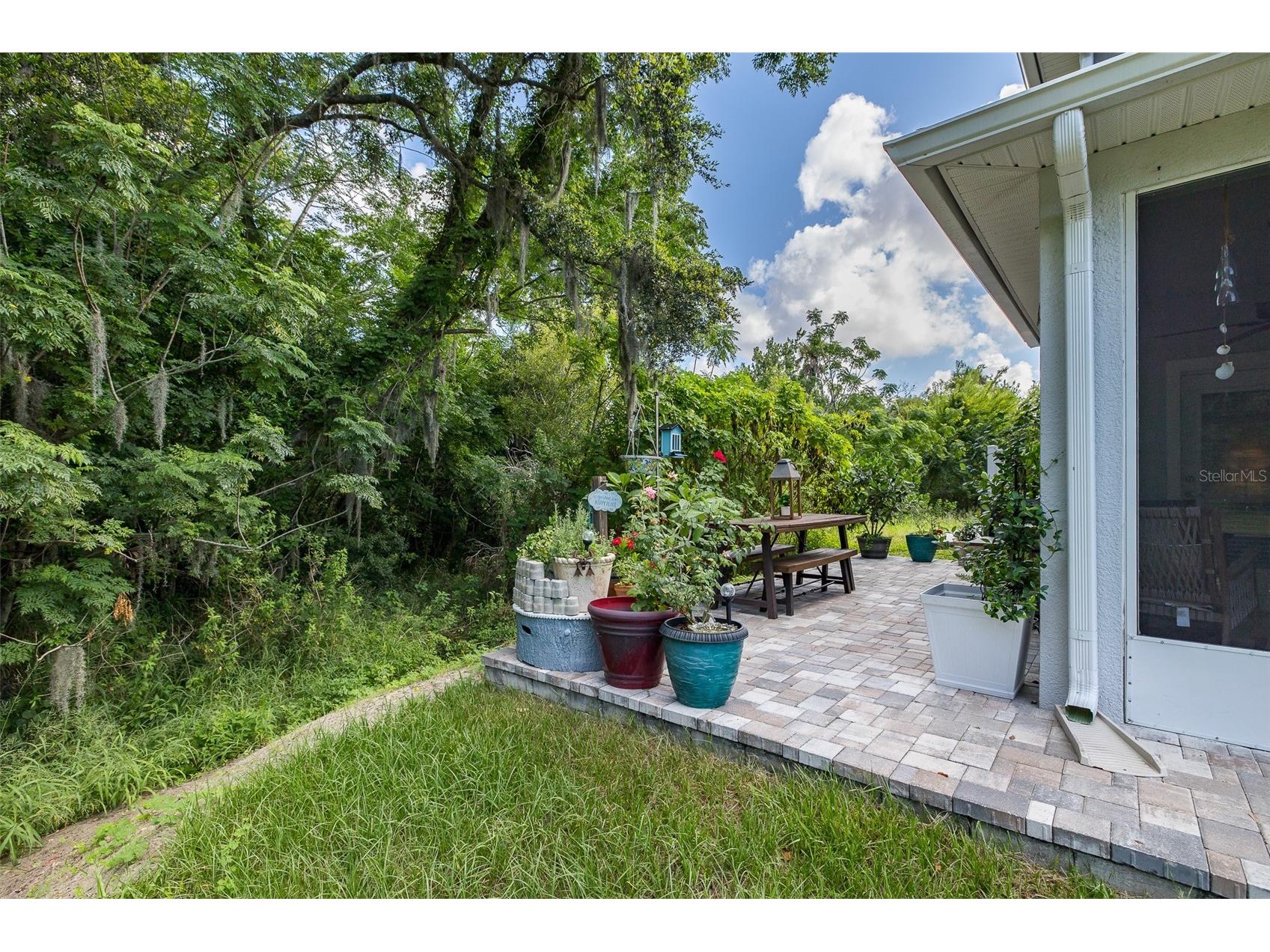 5382 Riverwalk Preserve Drive New Port Richey FL 34653 W7887012 image48