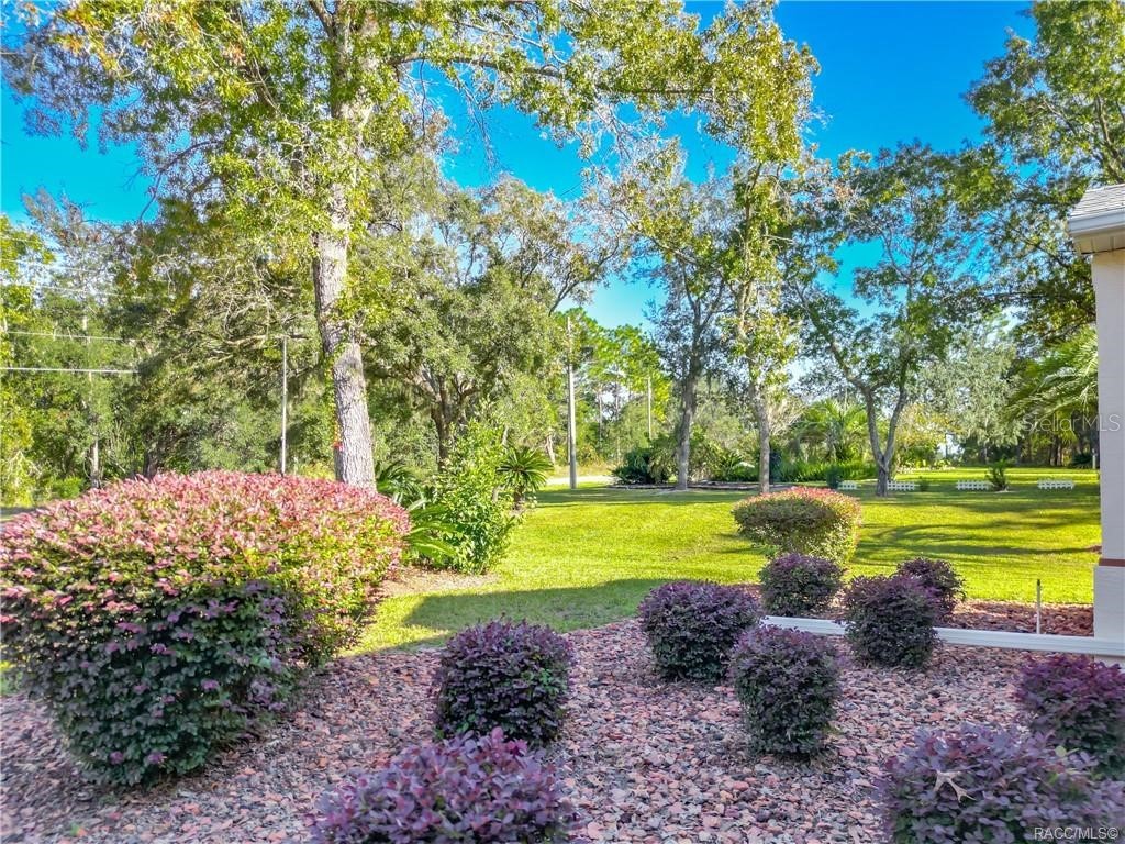 5386 N Lena Drive Beverly Hills FL 34465 TB8450250 image5