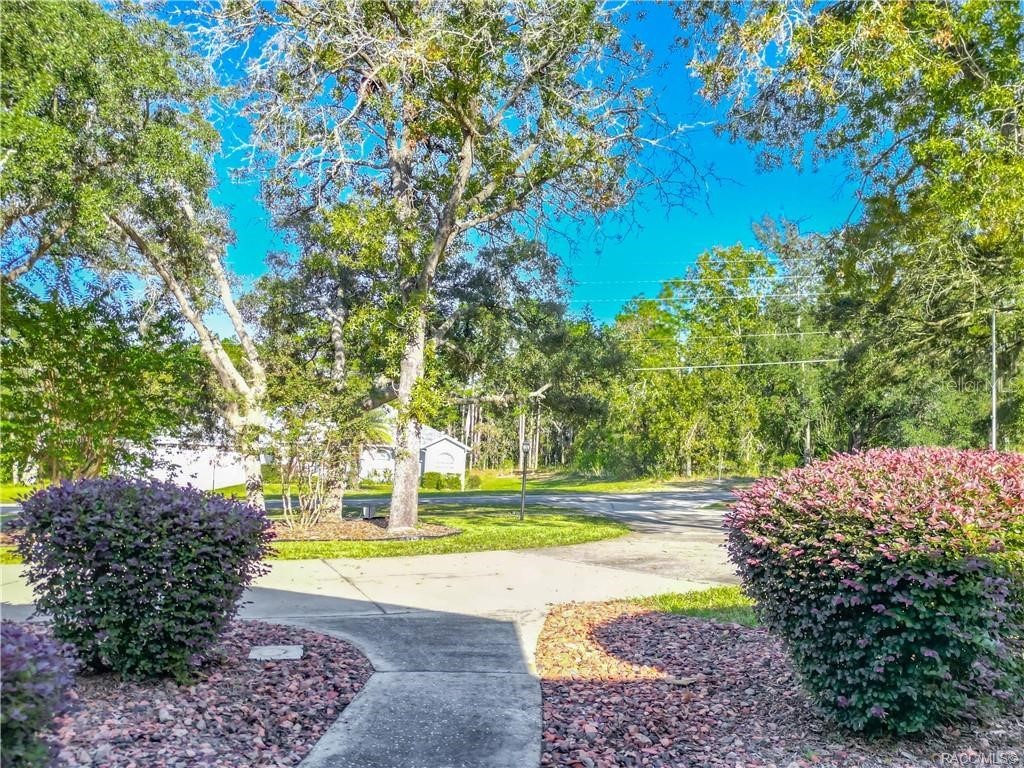 5386 N Lena Drive Beverly Hills FL 34465 TB8450250 image6