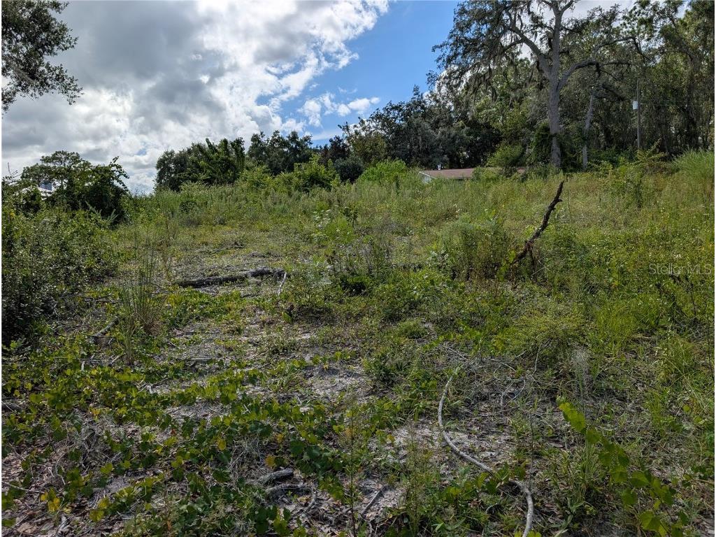 5387 SE 168th Avenue Ocklawaha FL 32179 - Emerald lake G5101702 image11