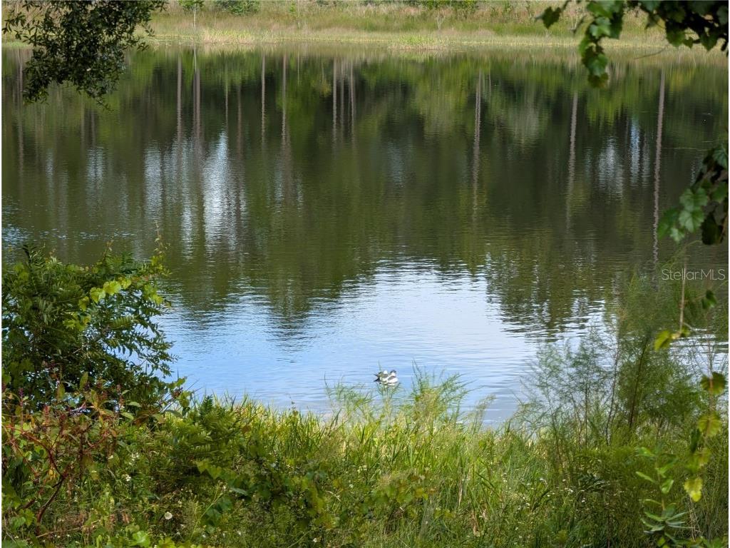 5387 SE 168th Avenue Ocklawaha FL 32179 - Emerald lake G5101702 image13