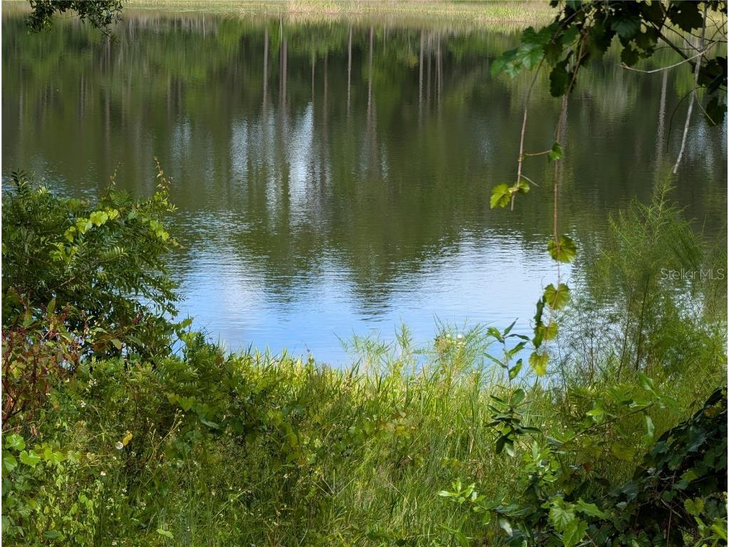 5387 SE 168th Avenue Ocklawaha FL 32179 - Emerald lake G5101702 image14