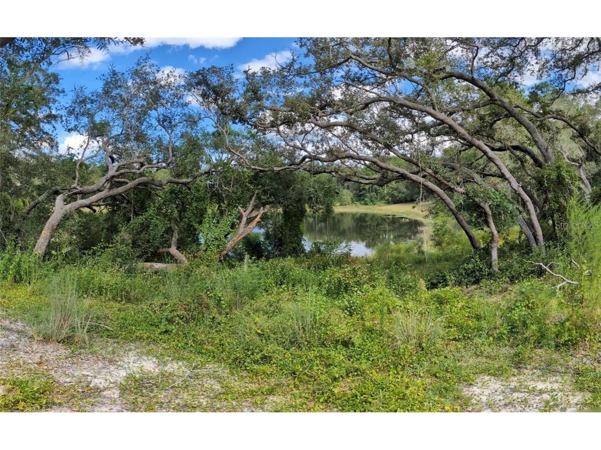 5387 SE 168th Avenue Ocklawaha FL 32179 - Emerald lake G5101702 image15